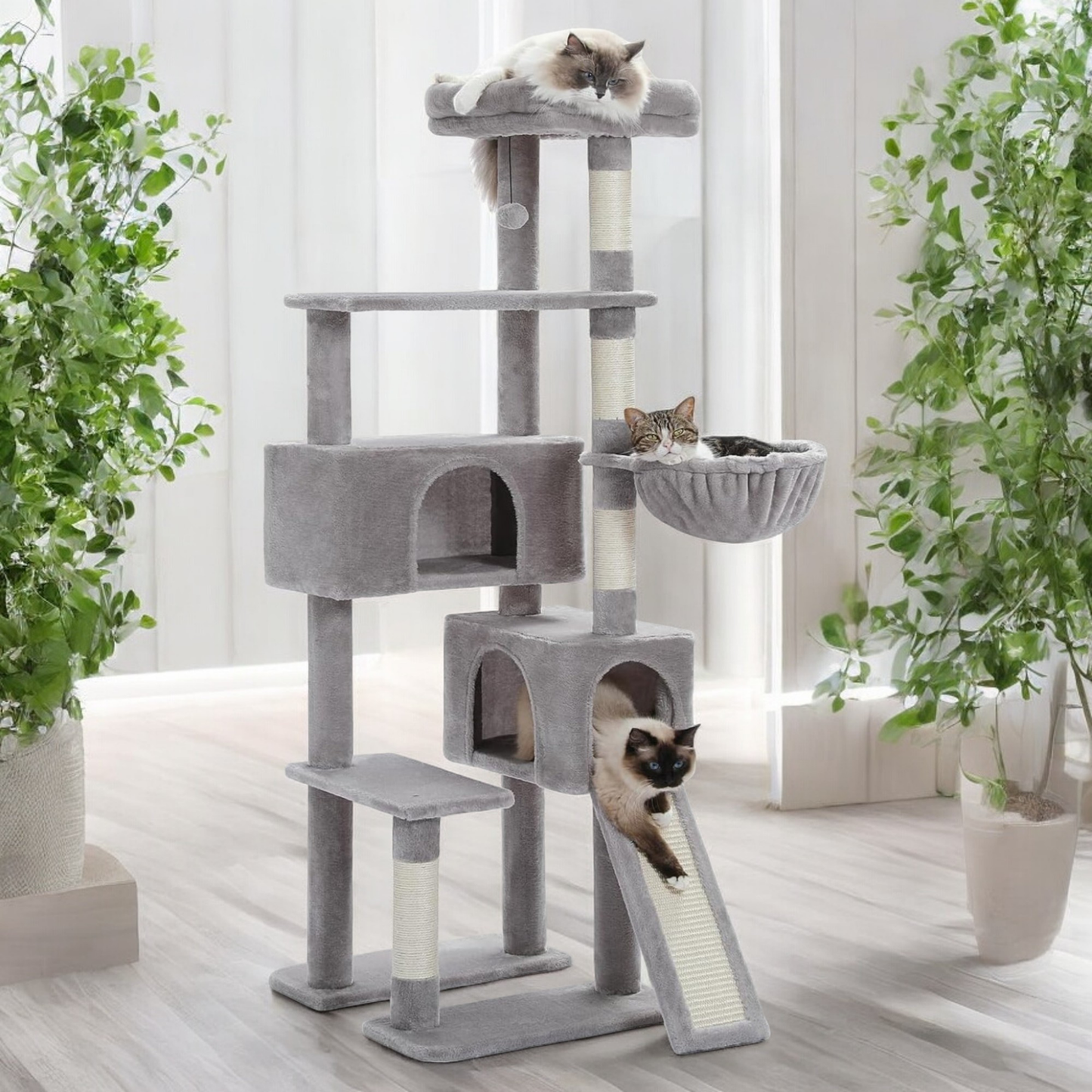 Catlantis