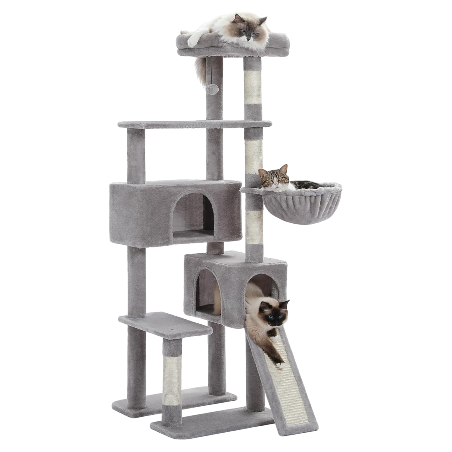 Catlantis